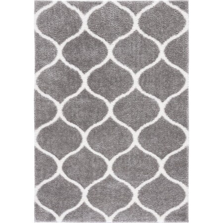 Safavieh 8 x 10 ft. Tahoe Shag Contemporary Rectangle Area Rug; Grey & White THO677H-8